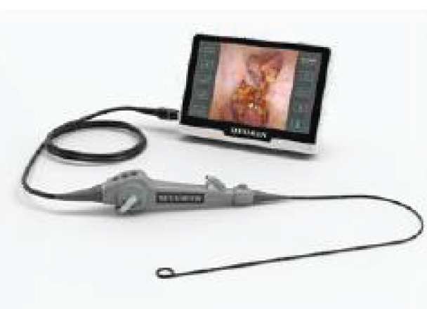 Semi-Disposable Flexible Scope