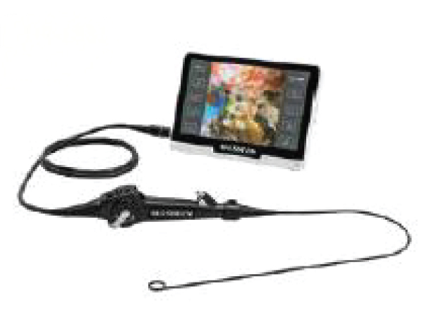 Flexible Video Ureterorenoscope